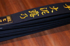 belt
